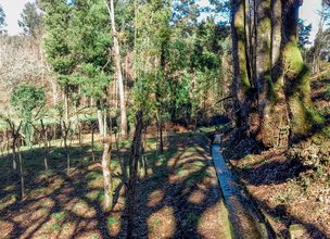 5.Levada (3).jpg
