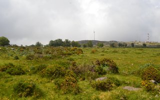 Viana do Castelo: Serra D´Arga, Vale do Lima e a Costa Atlântica