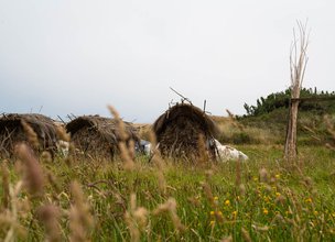 Sargaço