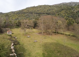 Viveiro1.jpg
