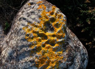 gravuras rupestres do sol raiado (2).jpg