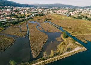 Salinas da Argaçosa