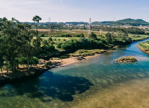 Zona Húmida da Ribeira